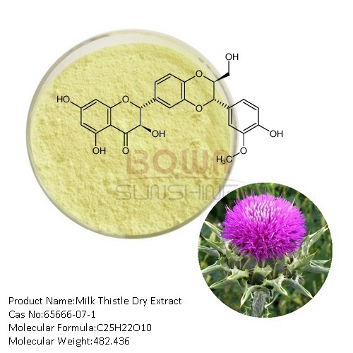 Milk Thistle Dry Extract (Silymarin)