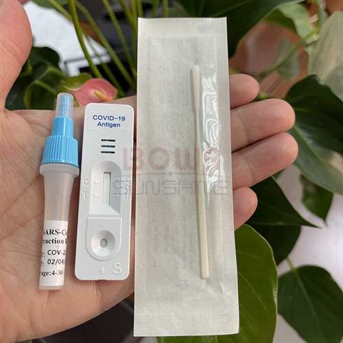 SARS-CoV-2 Antigen Rapid Test